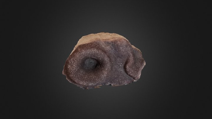 PITTED SANDSTONE 3D Model