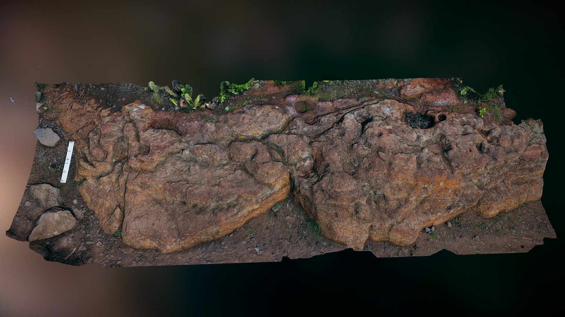 Cazoletas y Canalillos (Mesa de Tejina)