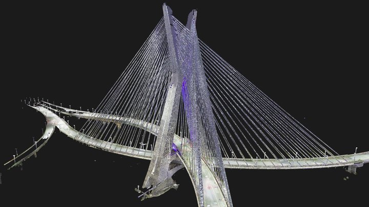 Cable-Stayed (Ponte Estaiada) Octavio Frias 3D Model