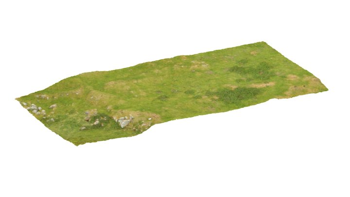 Holwick  F1 3D Model
