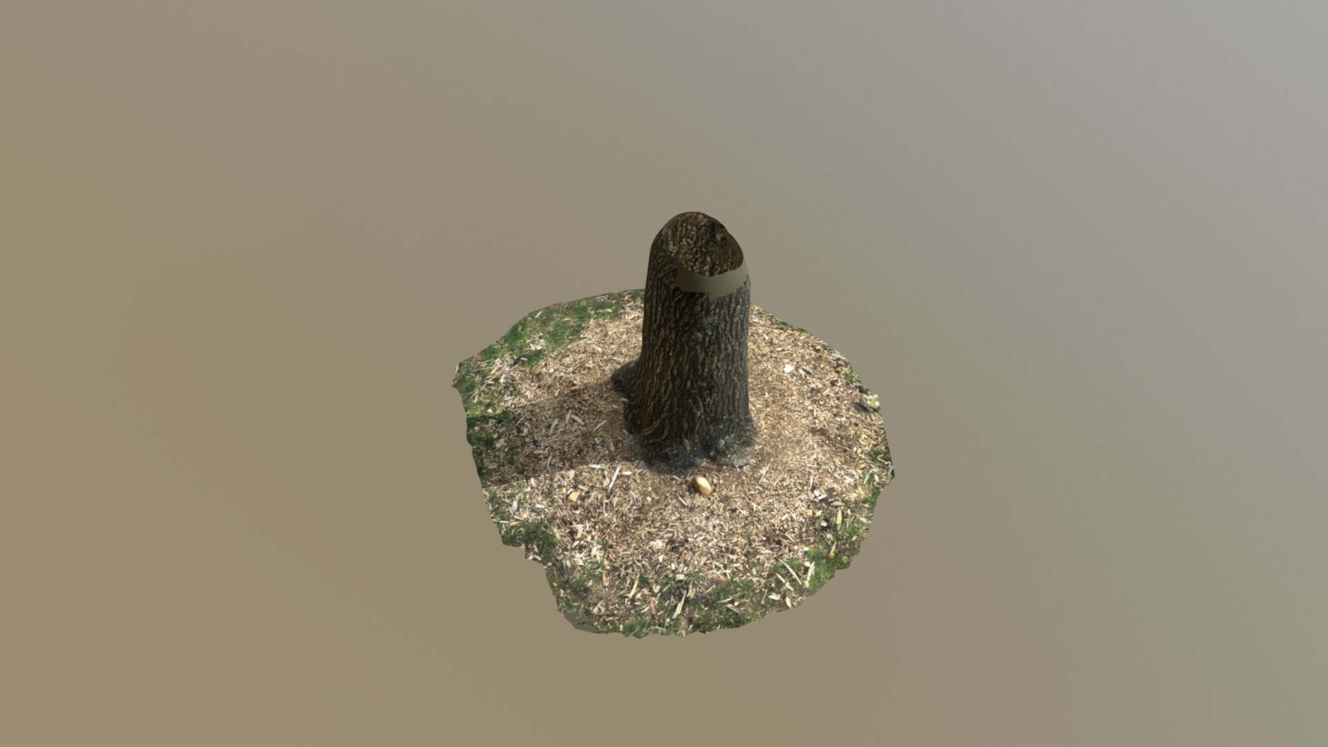 A TRNIO Model