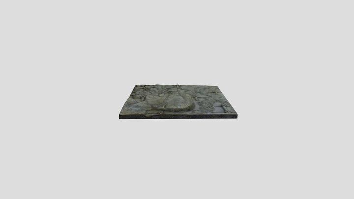 ds 3D Model