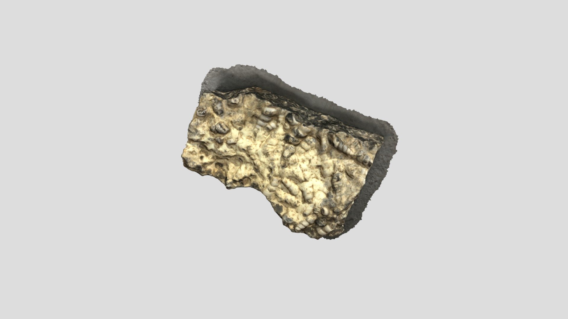 GEOL110 Lab Test Sample 46