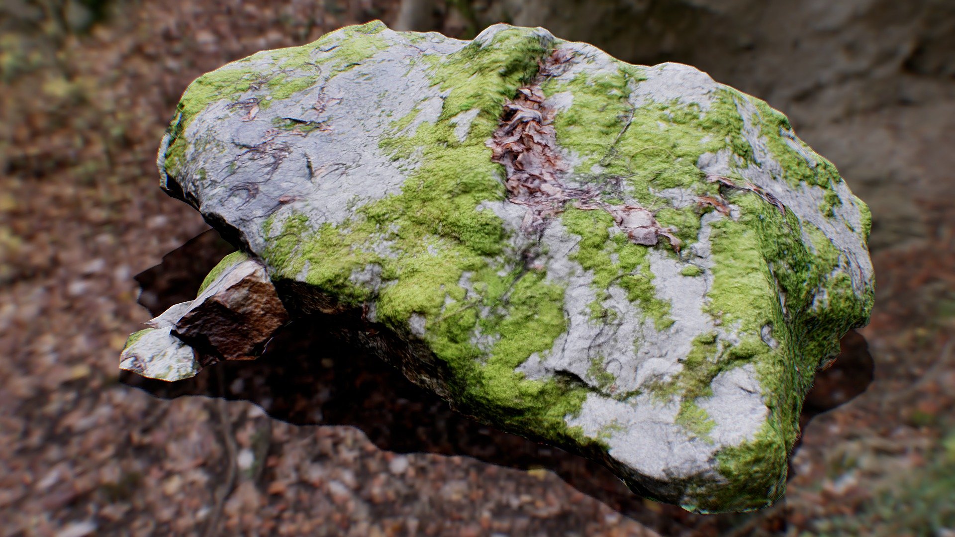 N081a Mossy Rock