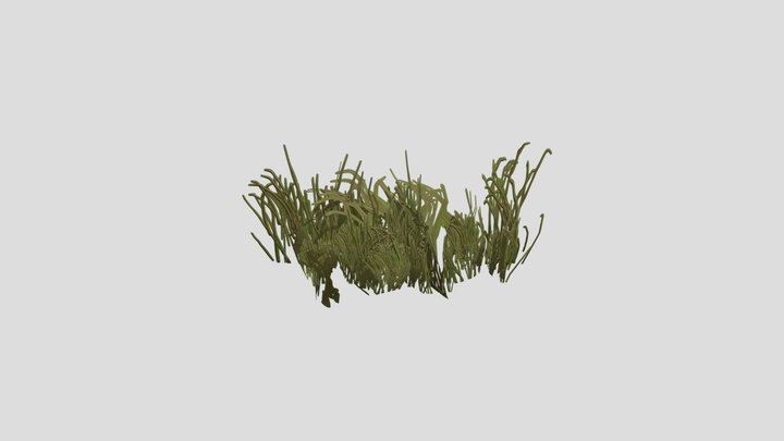 Underground Ruins - Foliage Grass 1 3D Model