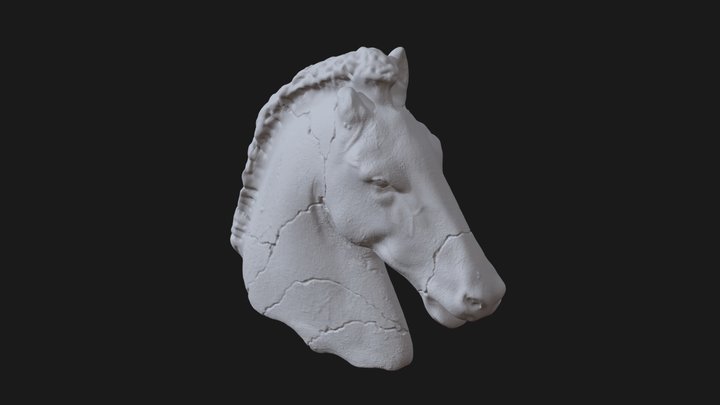 Busto De Caballo Clásico 3D Model