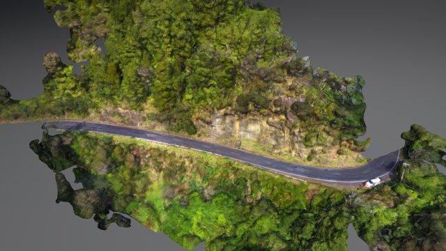 Rockfall, Bethells Road, West Auckland 3D Model