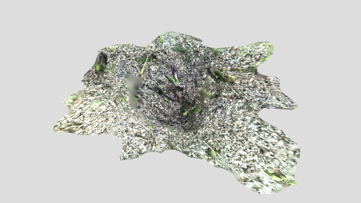 Pas Ronds n°3 (Gouffre des) 3D Model