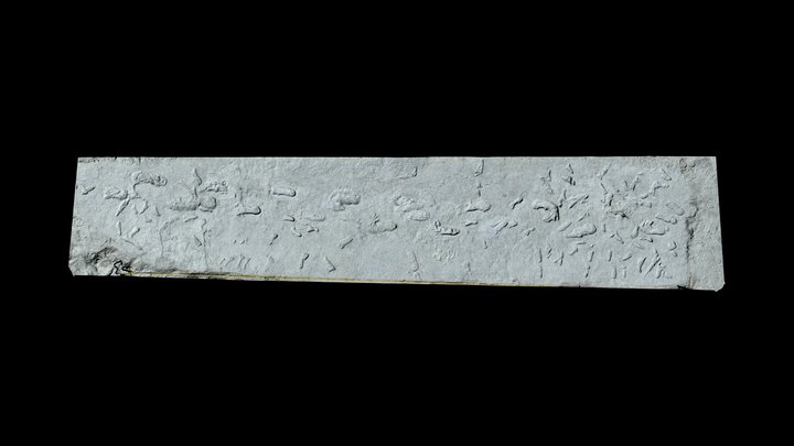Giant Ground Sloth Trackway and Children Jumping 3D Model