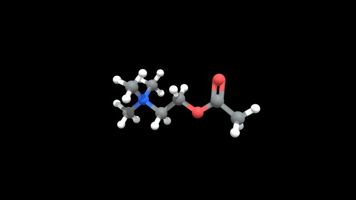 Acetylcholine – Modello 3D gratuito STL