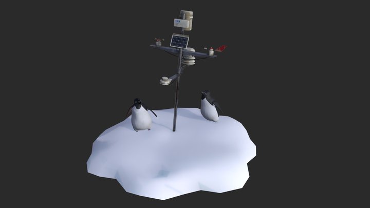 Penguins and meteostation 3D Model