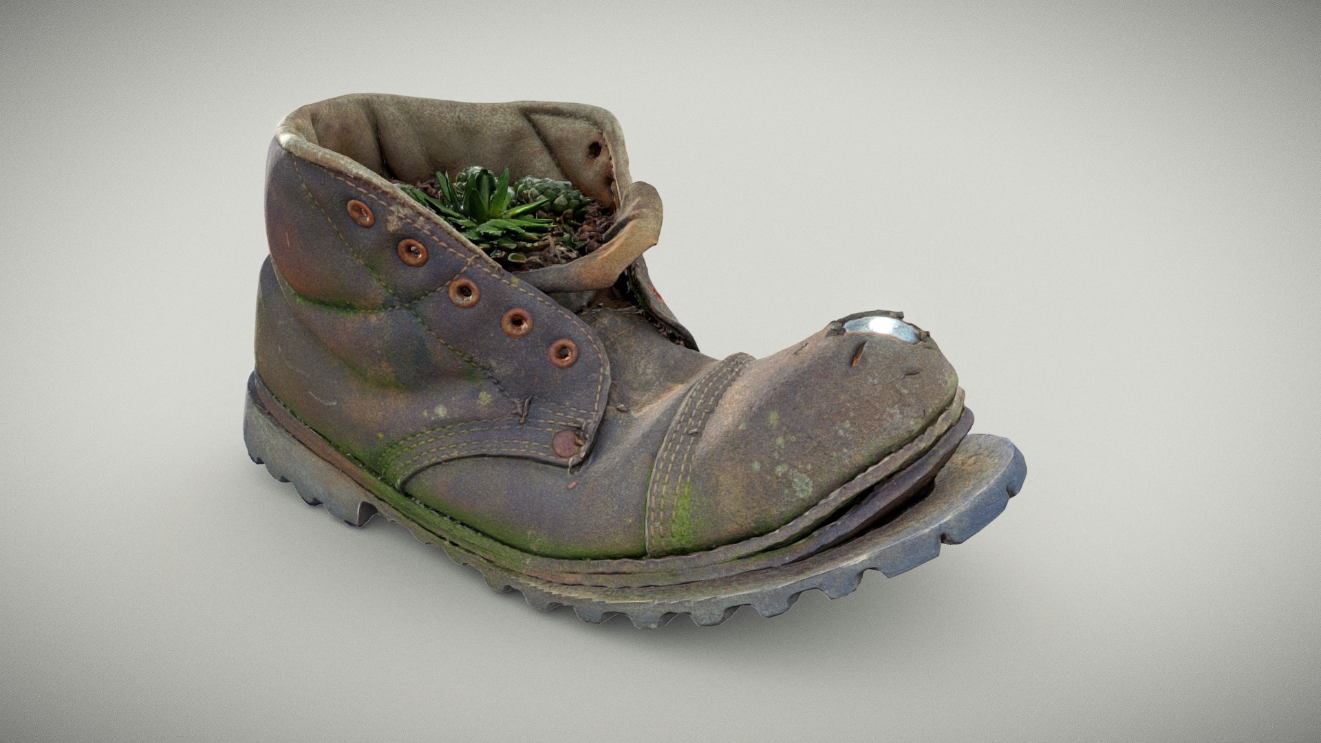 3D model Old Boot With Cactus Plant - This is a 3D model of the Old Boot With Cactus Plant. The 3D model is about a pair of boots.