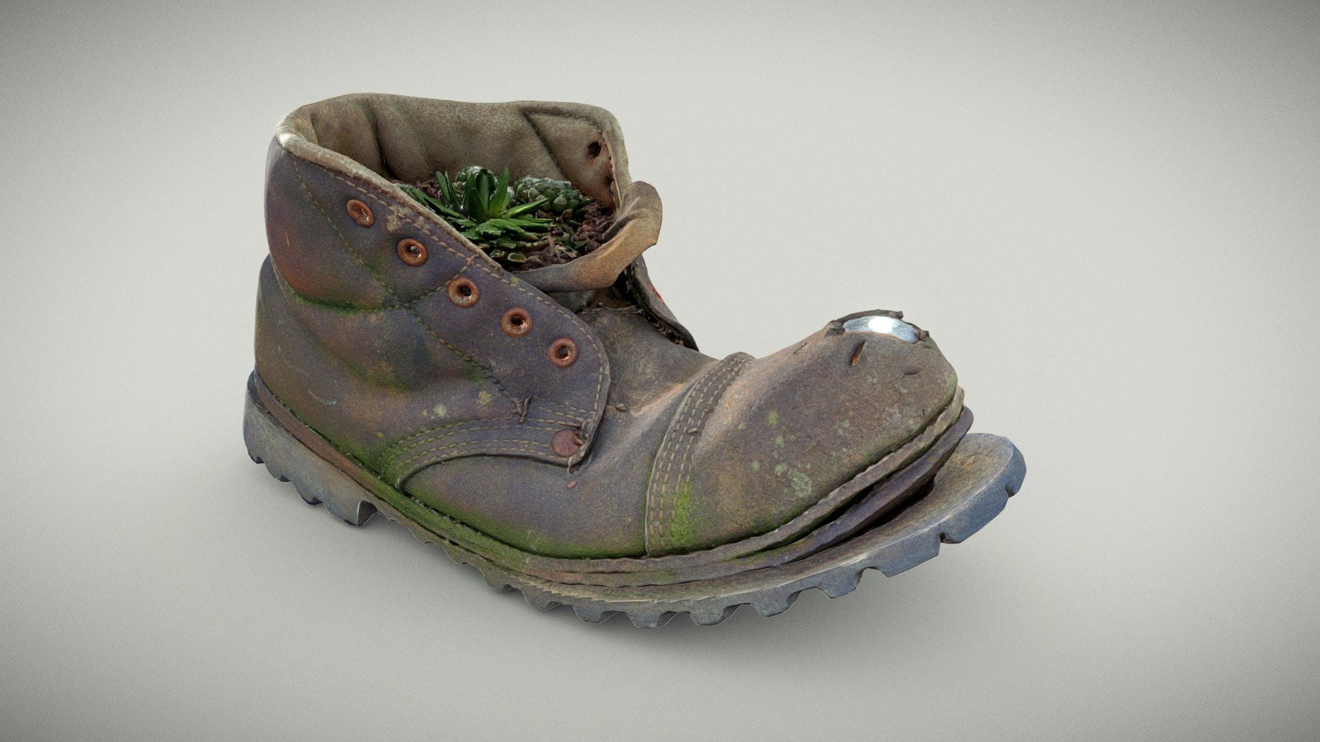 Old Boot With Cactus Plant - 3D model by Reality Scanning ...