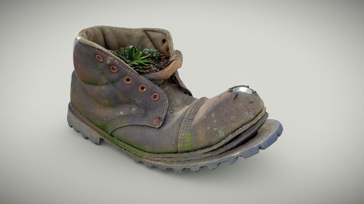 Old Boot With Cactus Plant 3D Model
