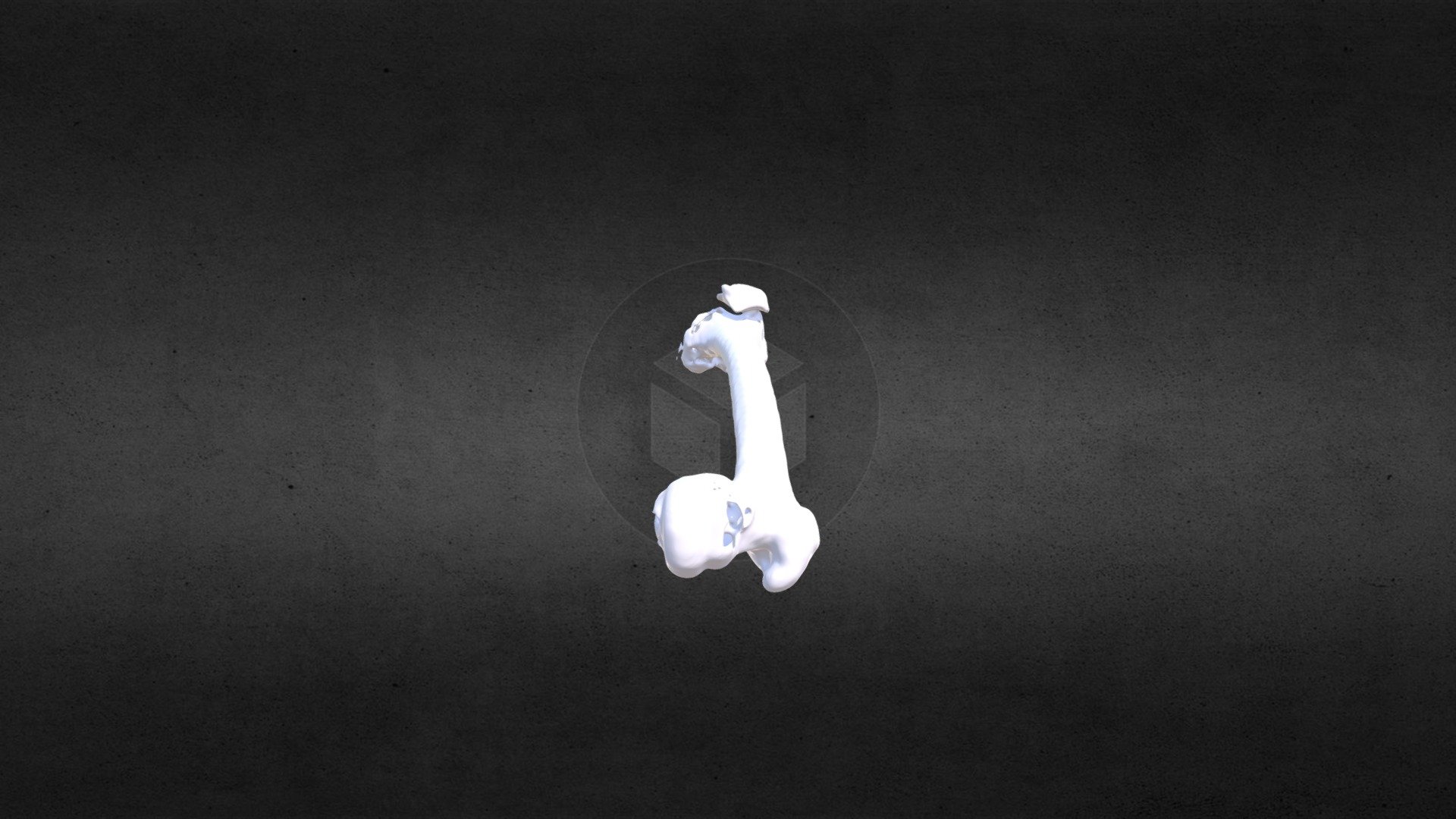 Femur