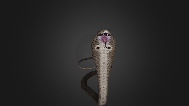 Medhue Cobra 3D Model