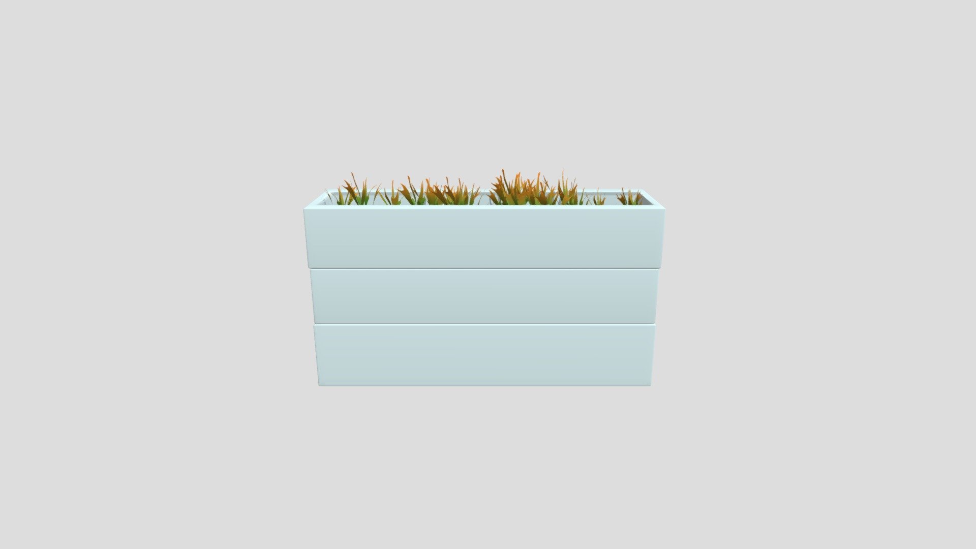 Plant Pot