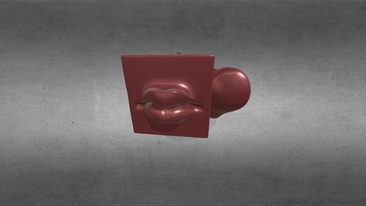 Anatomy Cube- Final-001_lower Poly Alpha 3D Model