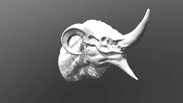 Dragon Head ( TESTING RETOPO) 3D Model