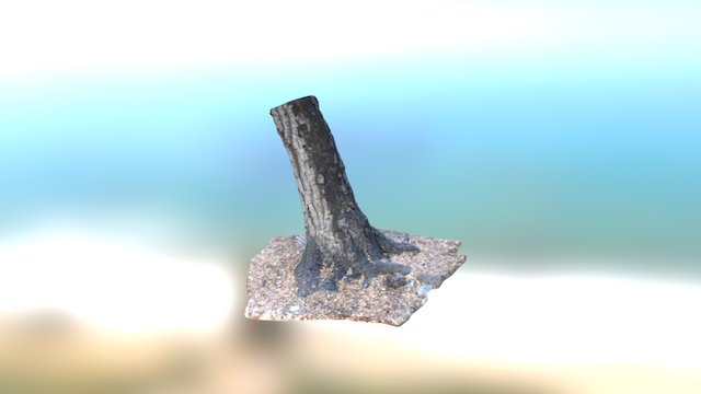 Tree Scan 3D Model