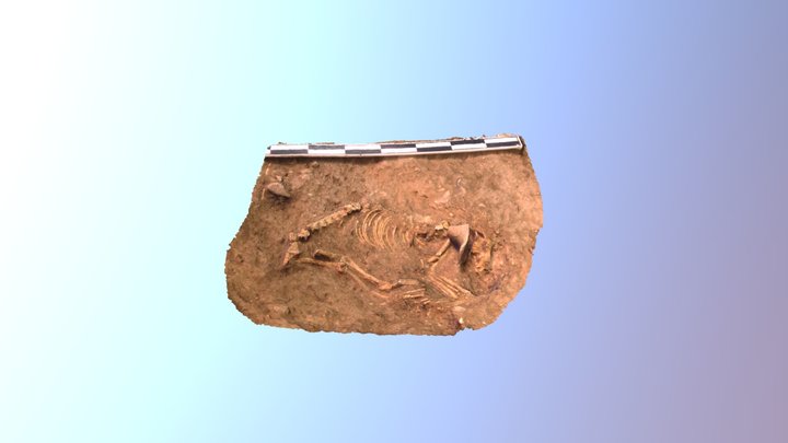 Manteño Dog Burial 3D Model