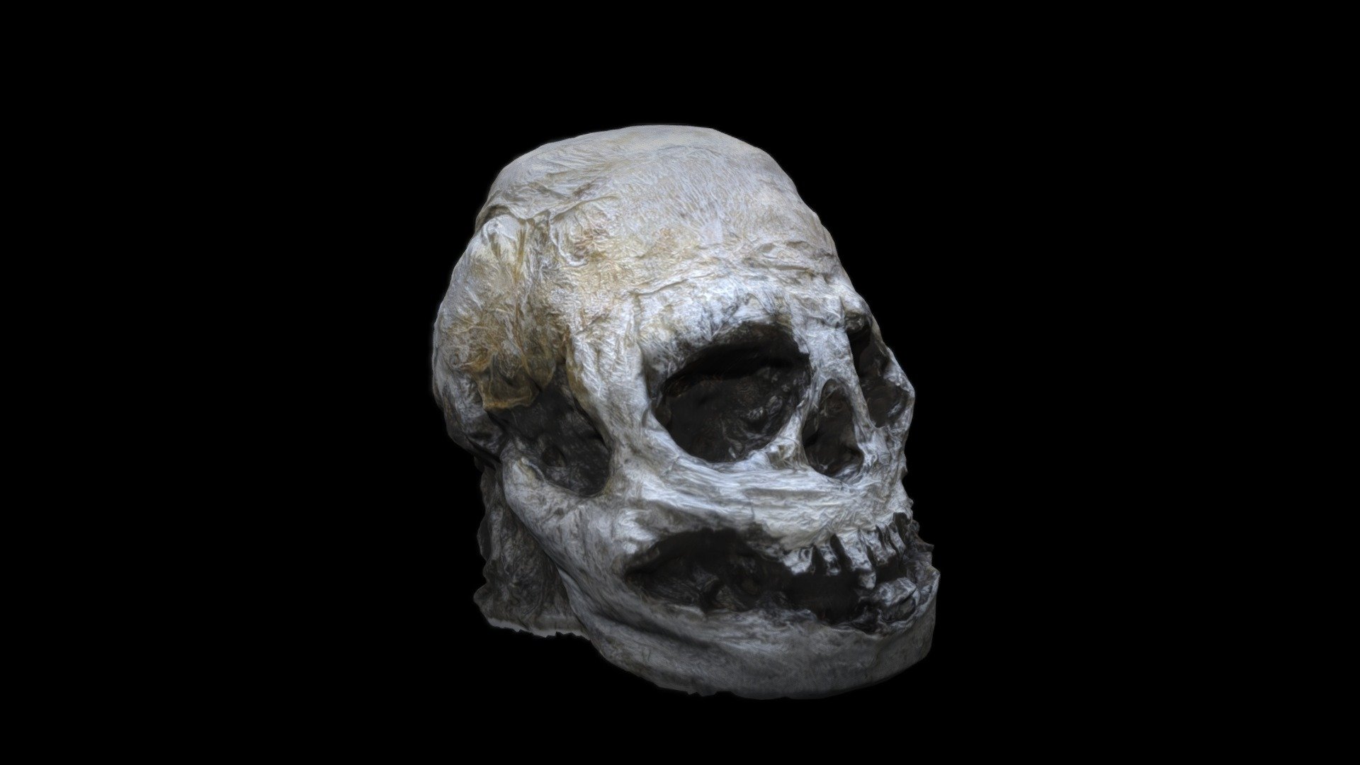 Skull sculpture two
