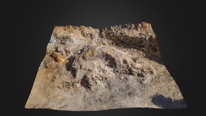 Columbian Mammoth Quarry from Southern Utah 3D Model