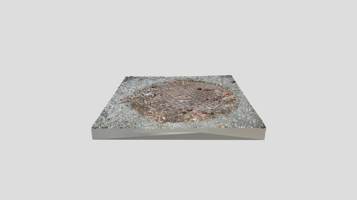 Manhole cover 1 3D Model