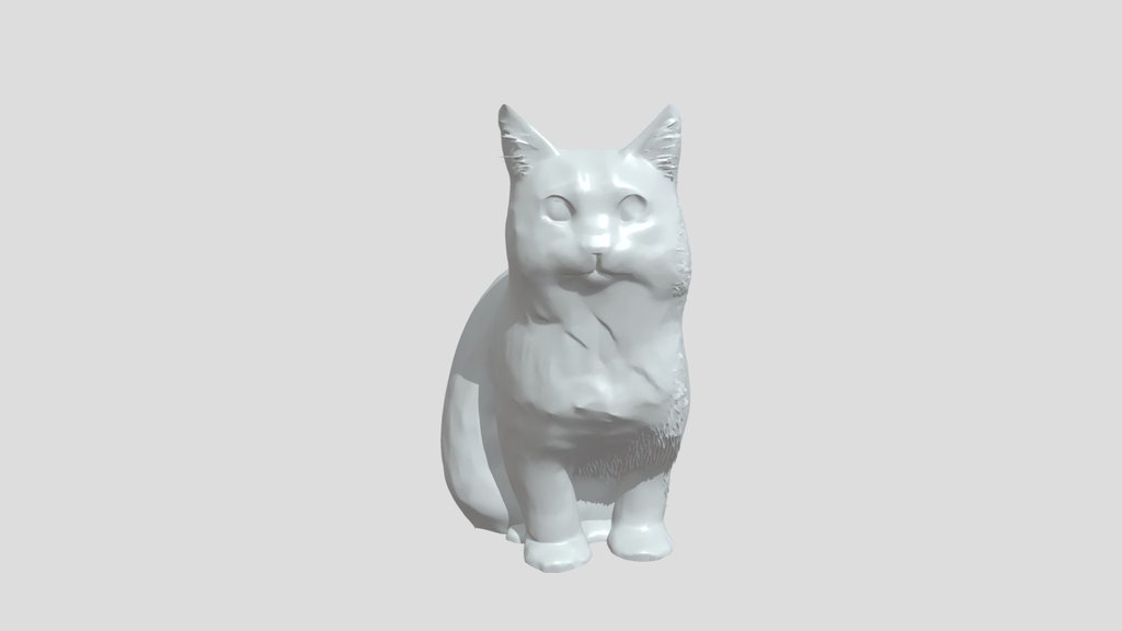 A domestic house cat sitting