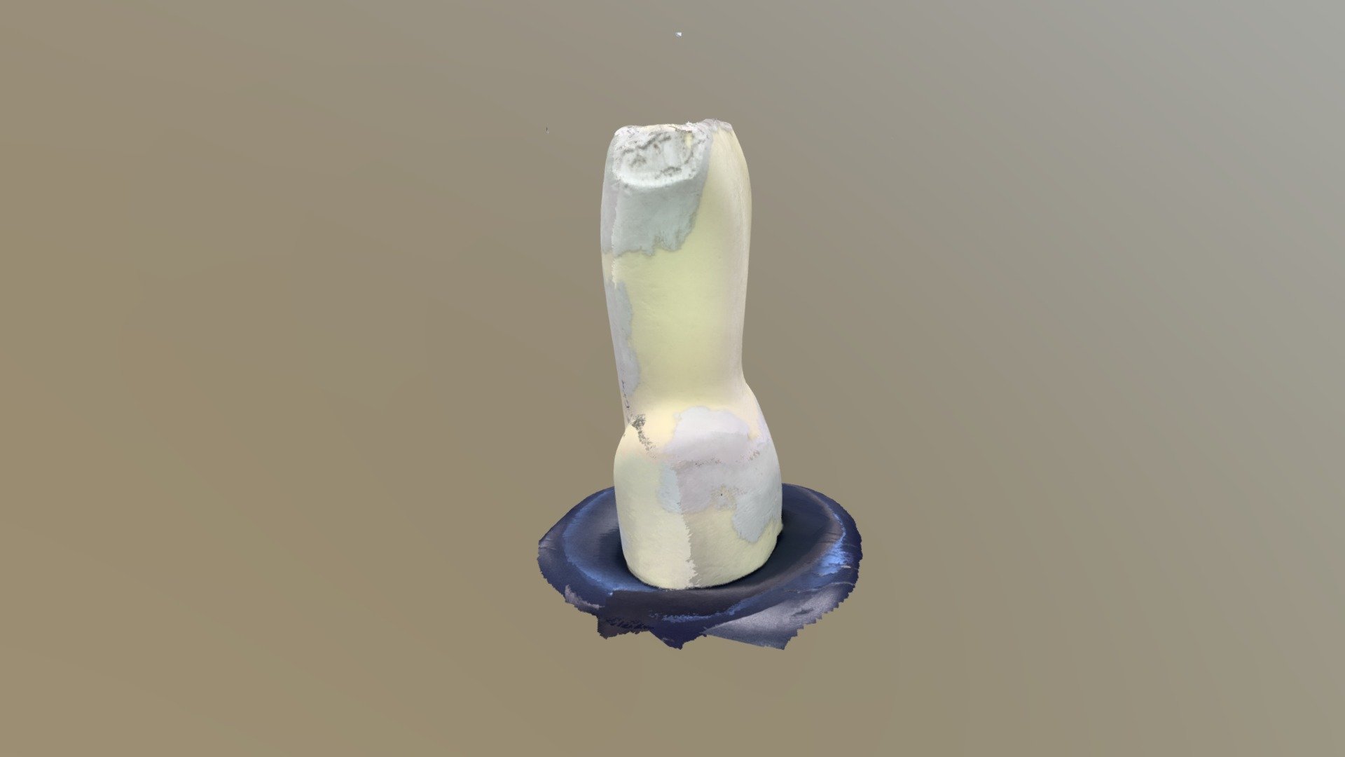 Test busto