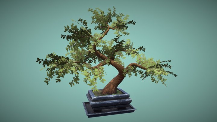 Bonsai Tree 3D Model