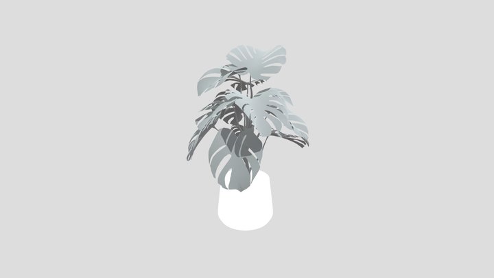 Monestera Plant Tall Potted – Modèle 3D gratuit STL