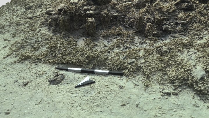 Prehistoric Pile and Pottery Find 3D Model