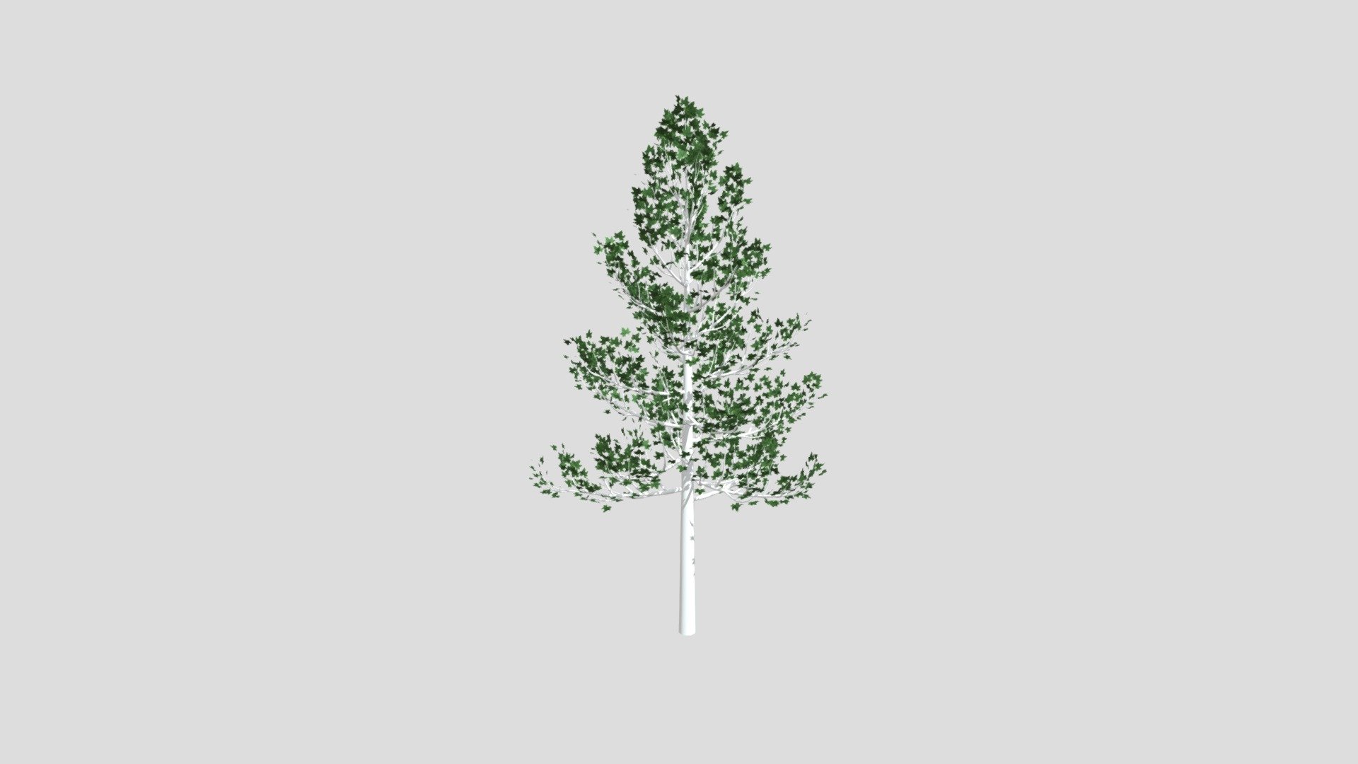 MapleTree - Download Free 3D model by jungminyoo [ee4658d] - Sketchfab