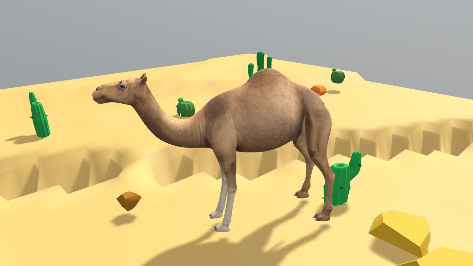 Camel and Landscape