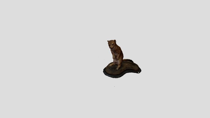 stoat 3D Model