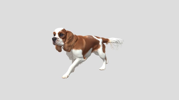 Cavalier Dog In Motion – Kostenloses 3D-Modell STL