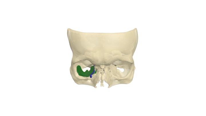 В056_2 3D Model