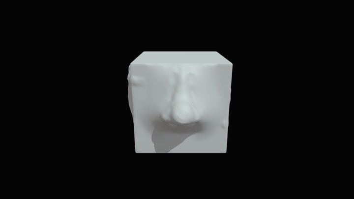 AnatomyCube1 3D Model