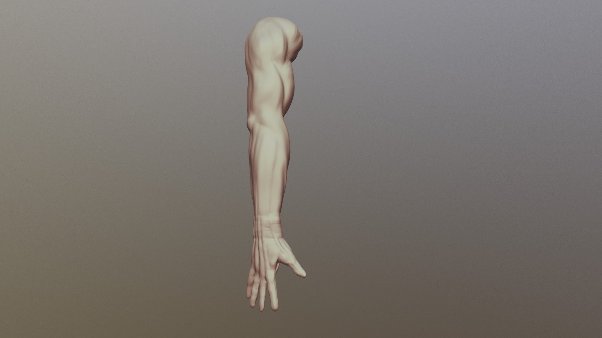Day15 Limb