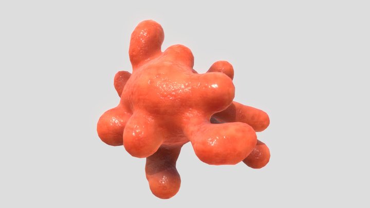 Entamoeba 3D Model
