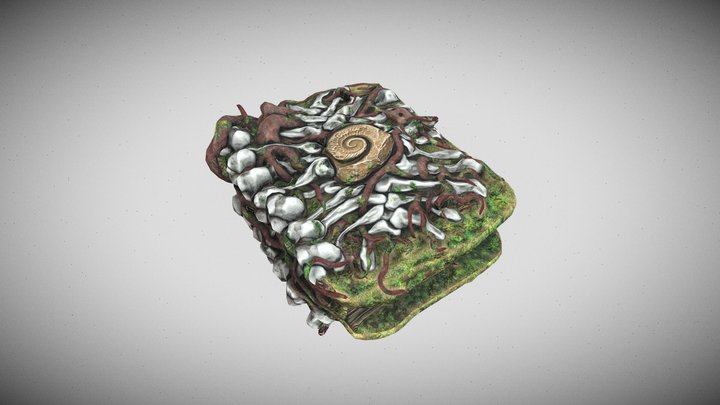 Fossil Tome 3D Model