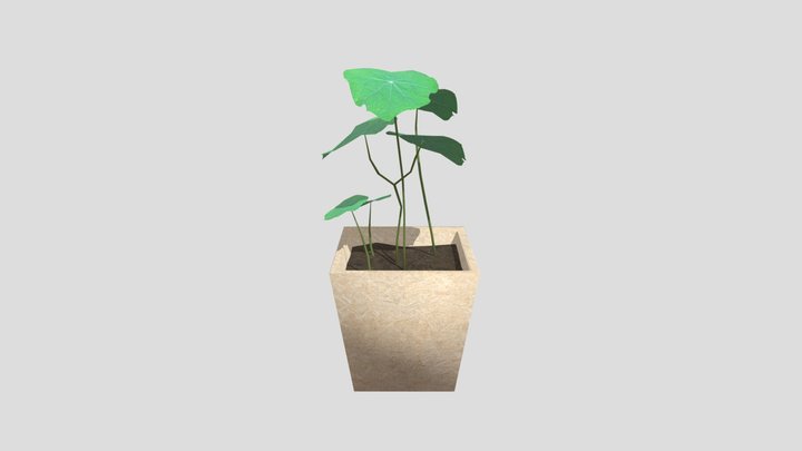 Eco Plant Pot 3D Model