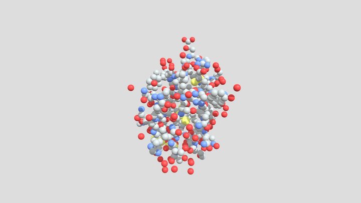 insuline 3D Model