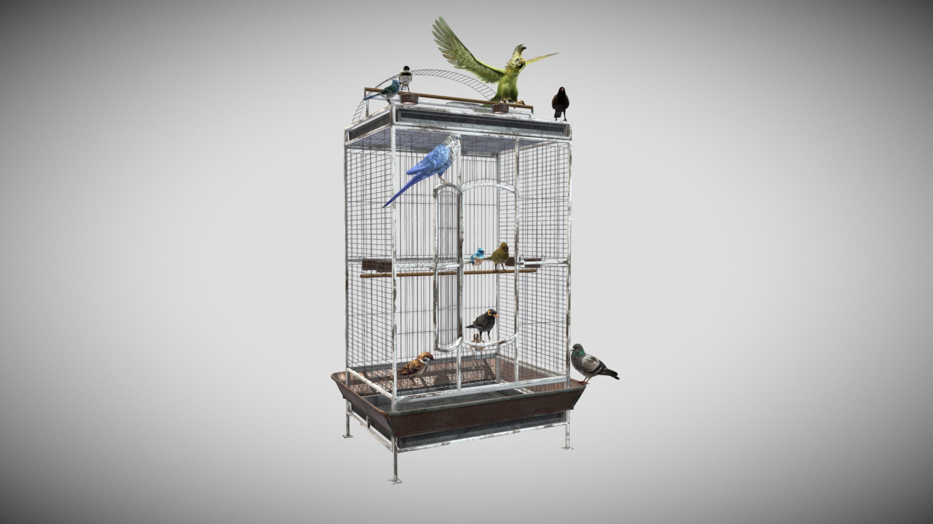 3D model Bird’s Open Cage - This is a 3D model of the Bird's Open Cage. The 3D model is about birds in a bird cage.