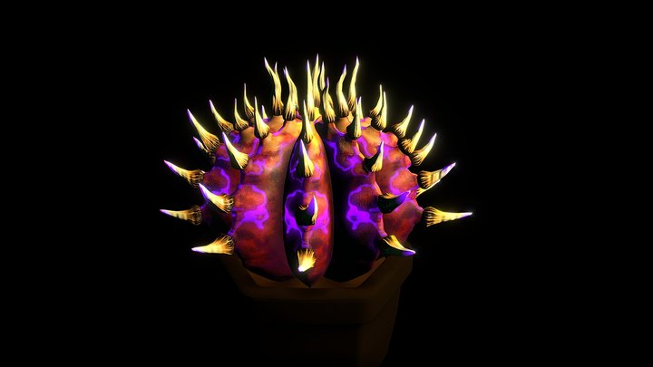 WIP: Cacti 3D Model