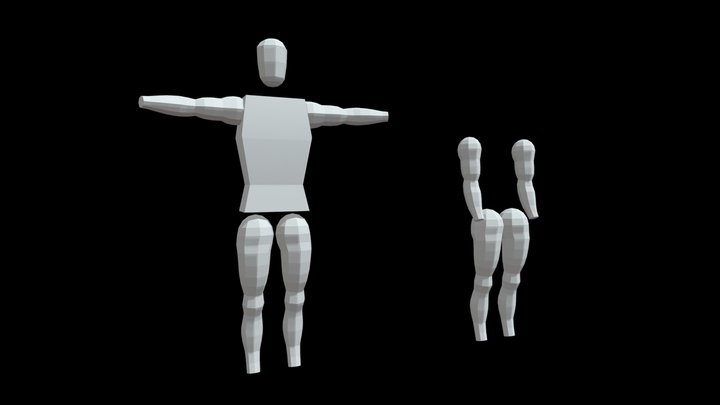 Arms+Legs Model 3D Model
