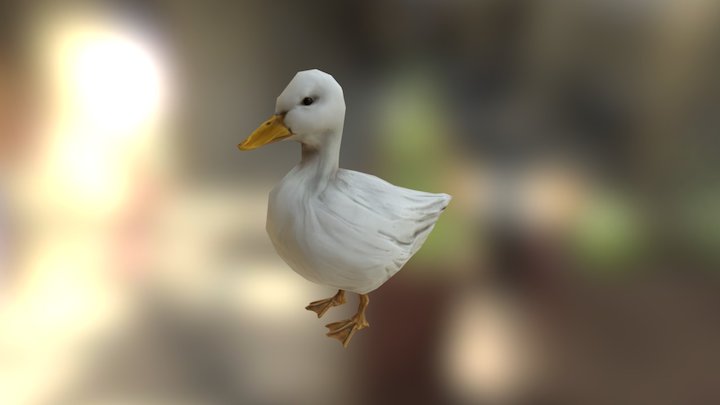 Duck01 3D Model