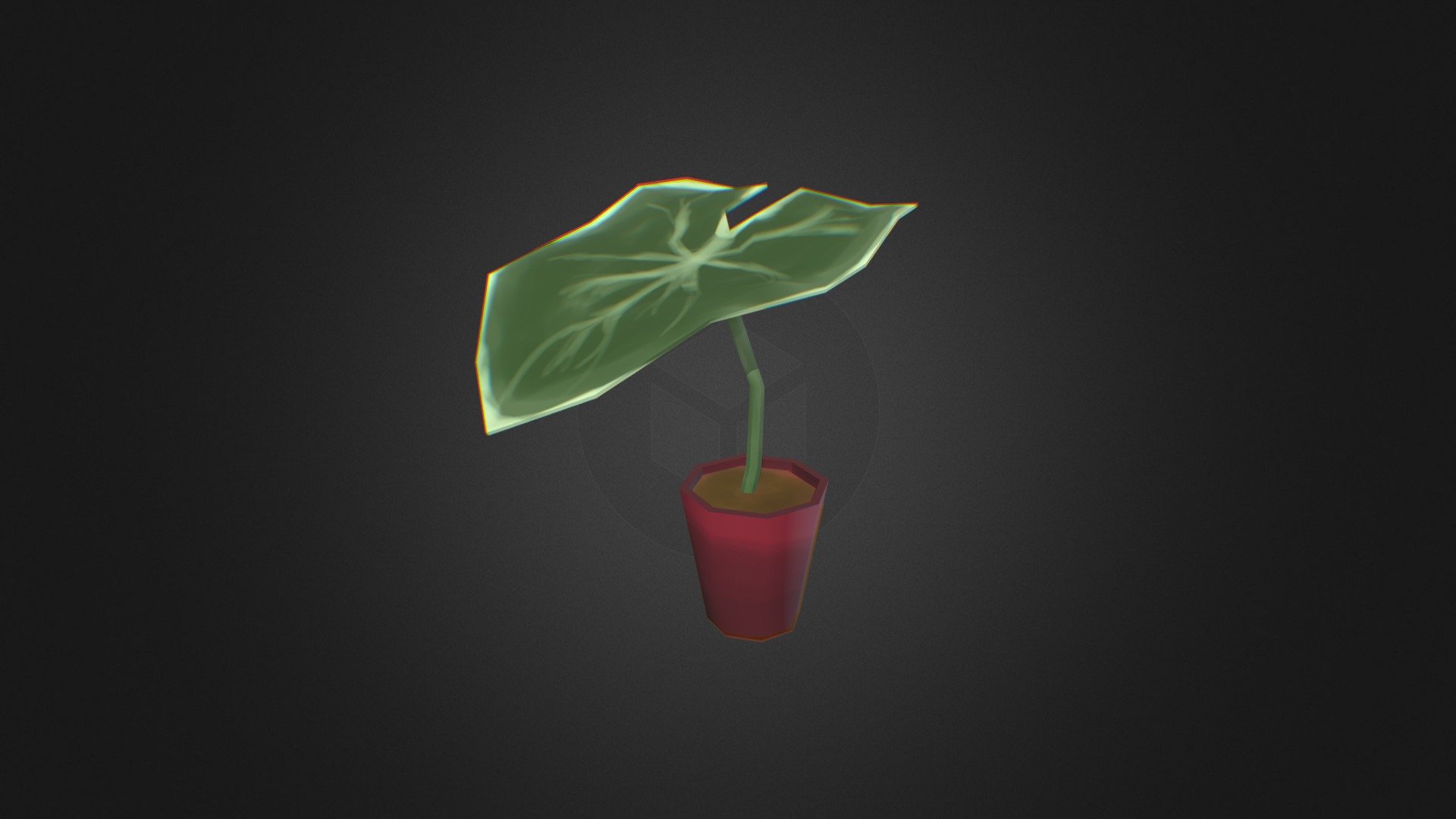 Plant / Planta