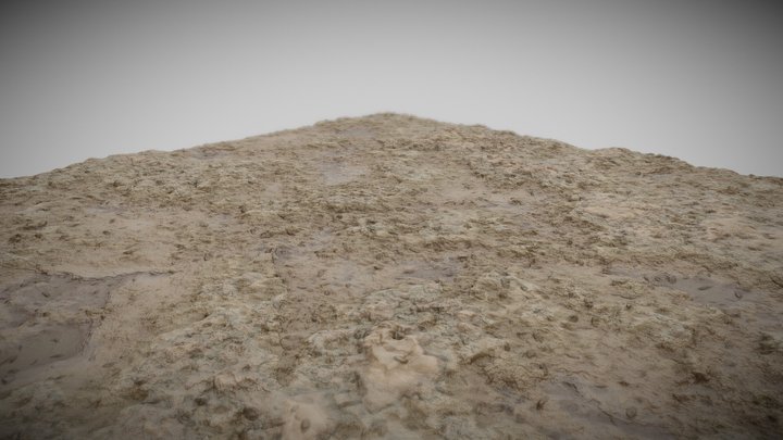 Dry Dirt 3D Model